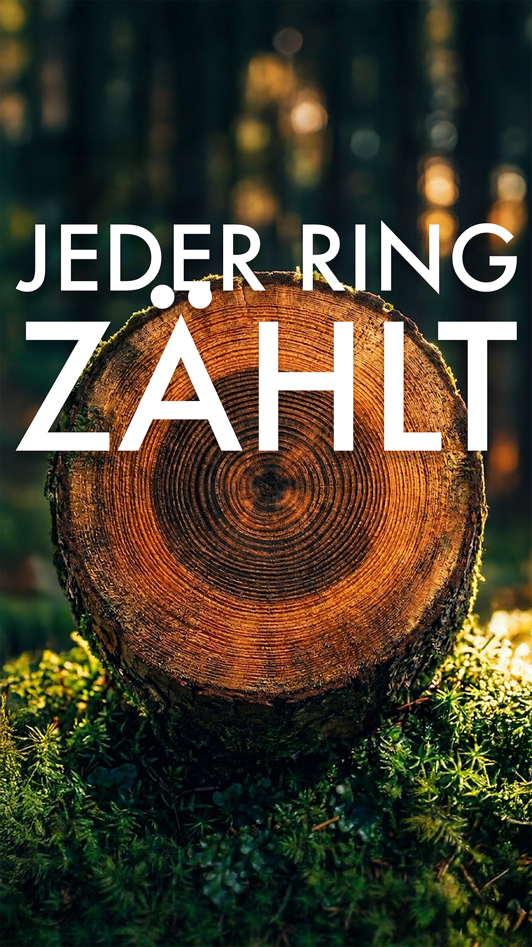 Ein aufgeschnittener Holzstamm im Wald mit dem Titel Jeder Ring zählt